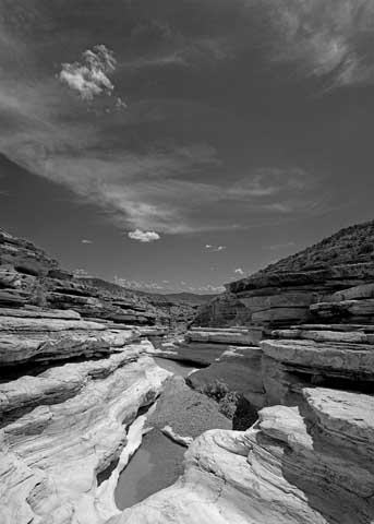 Visit Big Bend